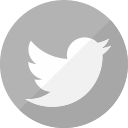 HTML5 Icon